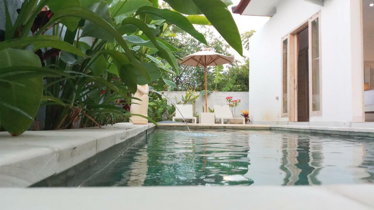 Villa Ummangur 2 Bedroom Private Villa Near Lovina Banjar  Ngoại thất bức ảnh